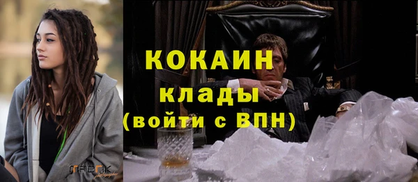 крисы Баксан