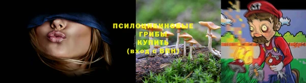 крисы Баксан