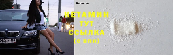 крисы Баксан