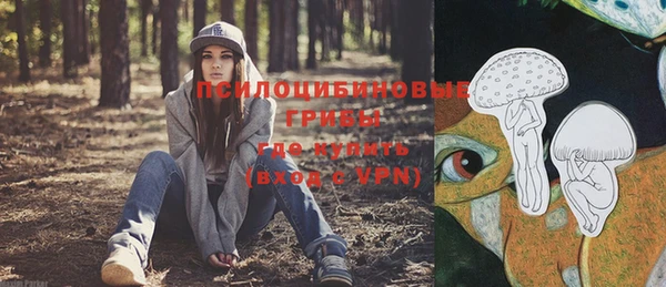 гидропоника Балабаново